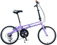 Purple Folded Bicycle Bike with Mg Folding Frame