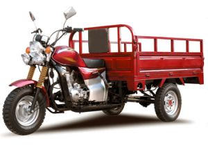 Ghana Motor Kinng 150cc 250cc Cargo Tricycle Three Wheeler Motorcycle